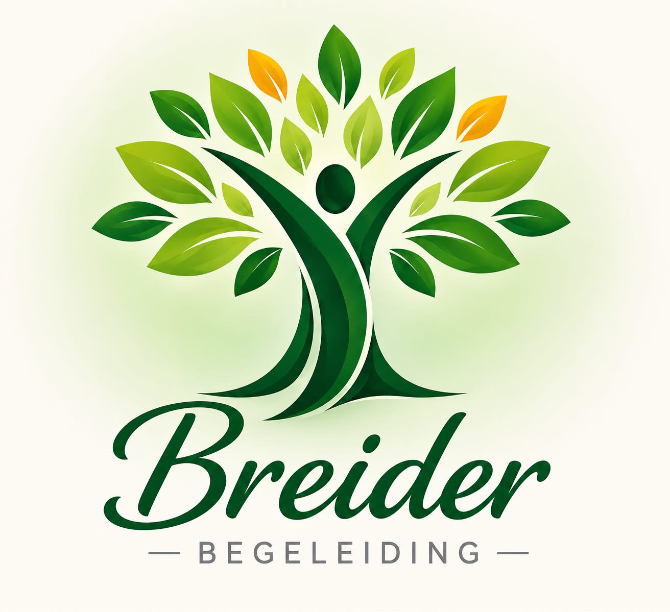 Logo Breider Begeleiding